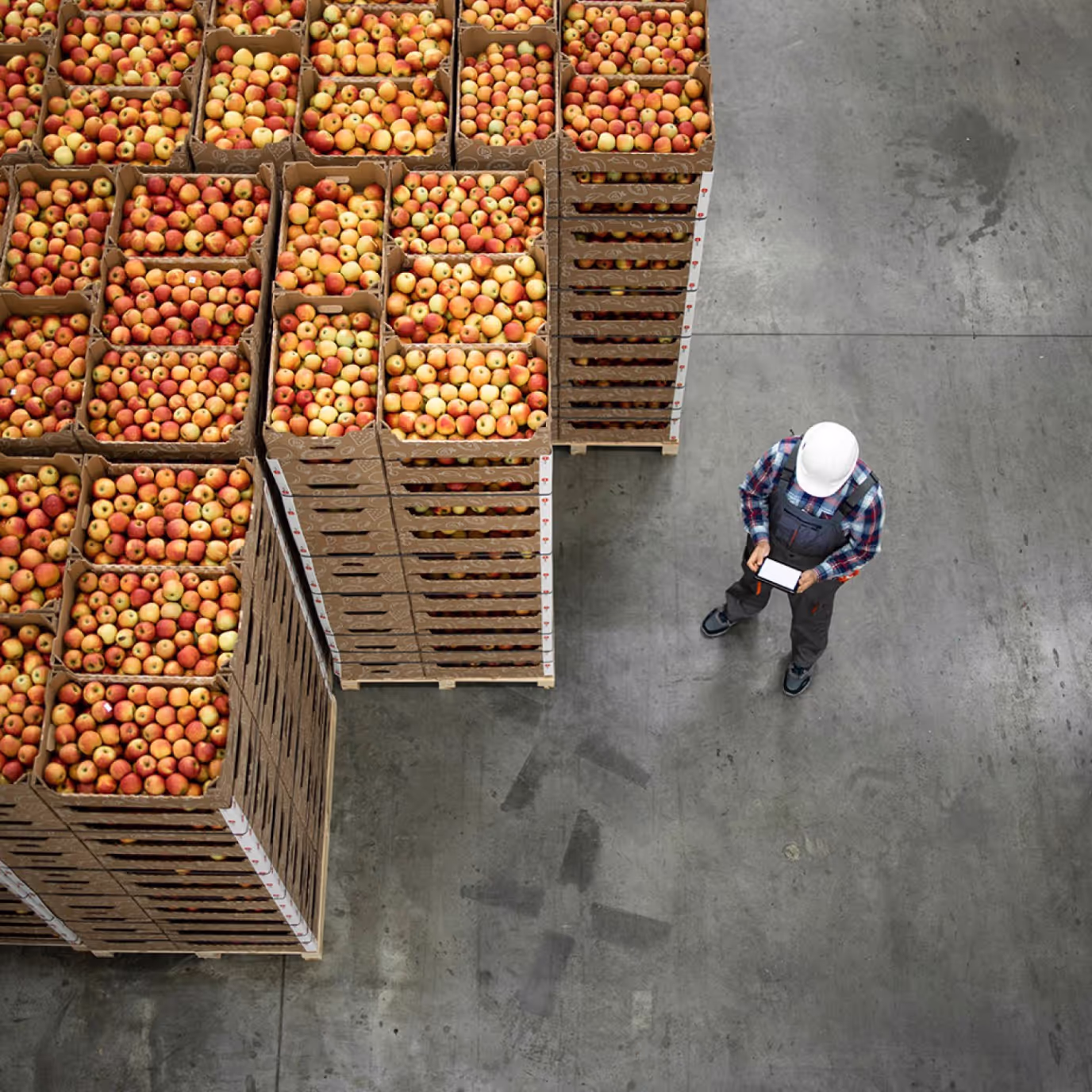 crates of apples at a food distribution center