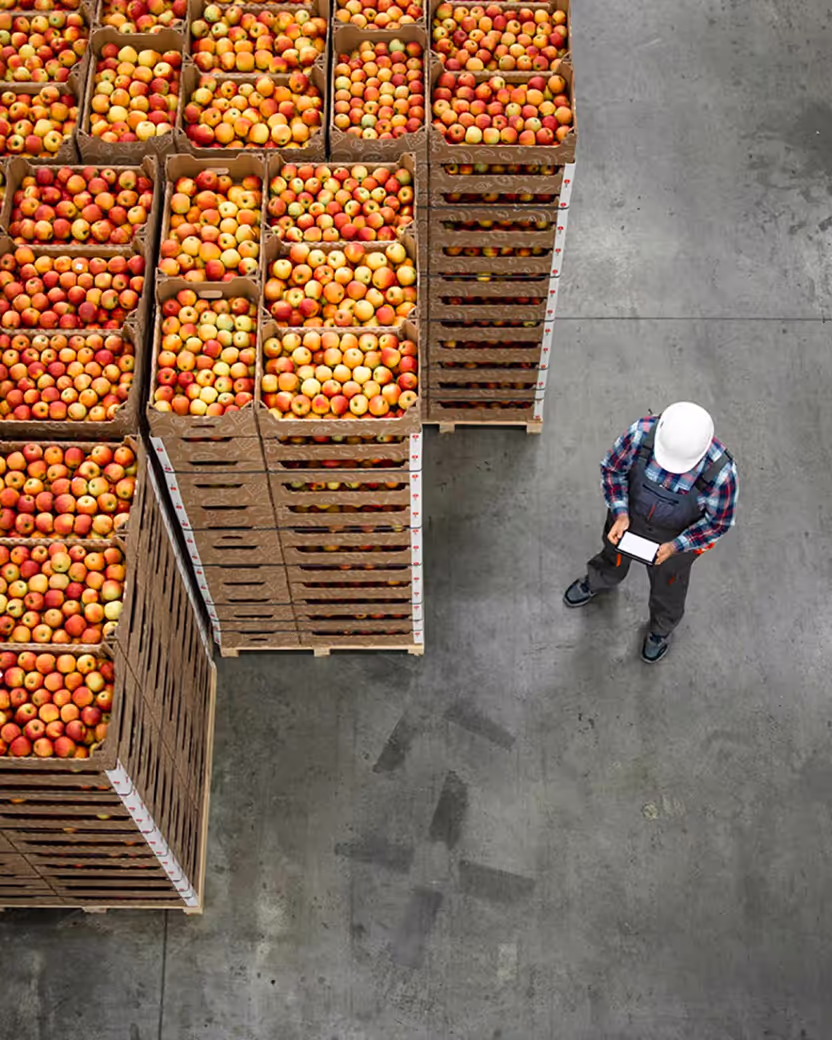 a photo of a food distribution center